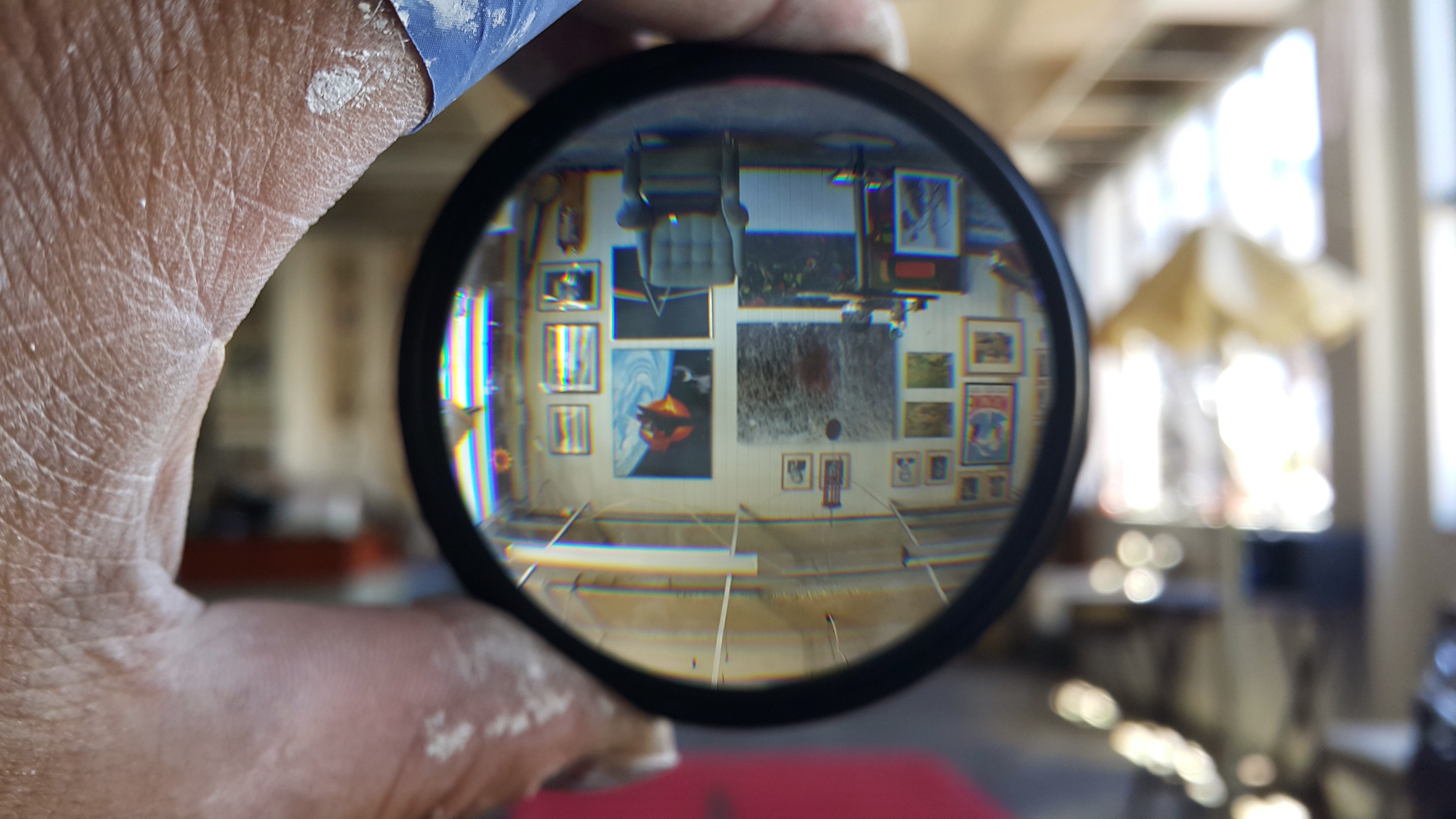 Potocki Patterson Art Gallery Wellington